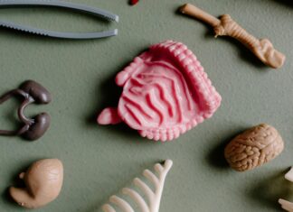 Is Health Science or Biology Better for Medical School Success?