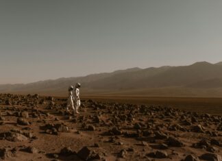 Walking Mountains Science Center: Discover Nature’s Hidden Wonders