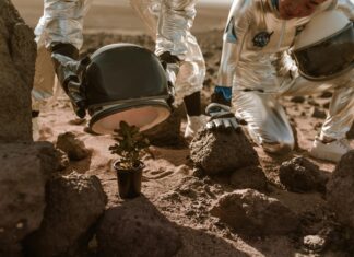 Science On The Rocks: Discover Fascinating Experiments You’ll Love