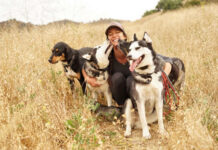 Prioritizing Dogs Health: The Ultimate Guide to Choosing the Right Dog Beds dog bed, dog beds, large dog beds, best dog beds, outdoor dog beds, orthopedic dog beds, chew proof dog bed, raised dog bed, cooling dog bed, heated dog beds